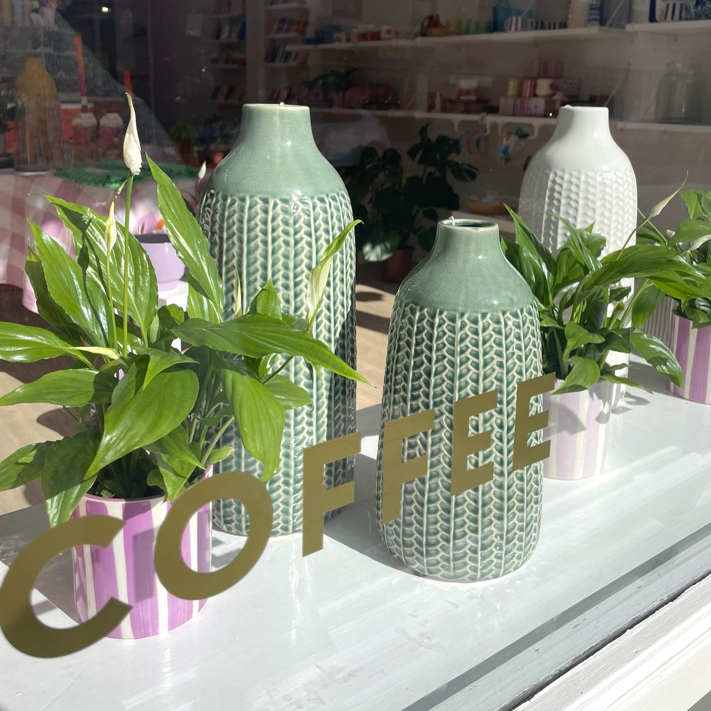 Window display with plants and homeware Stonehaven florist