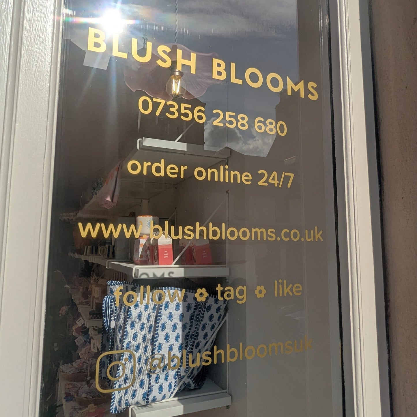 Store window with 'Blush Blooms' branding, contact information, and products displayed.