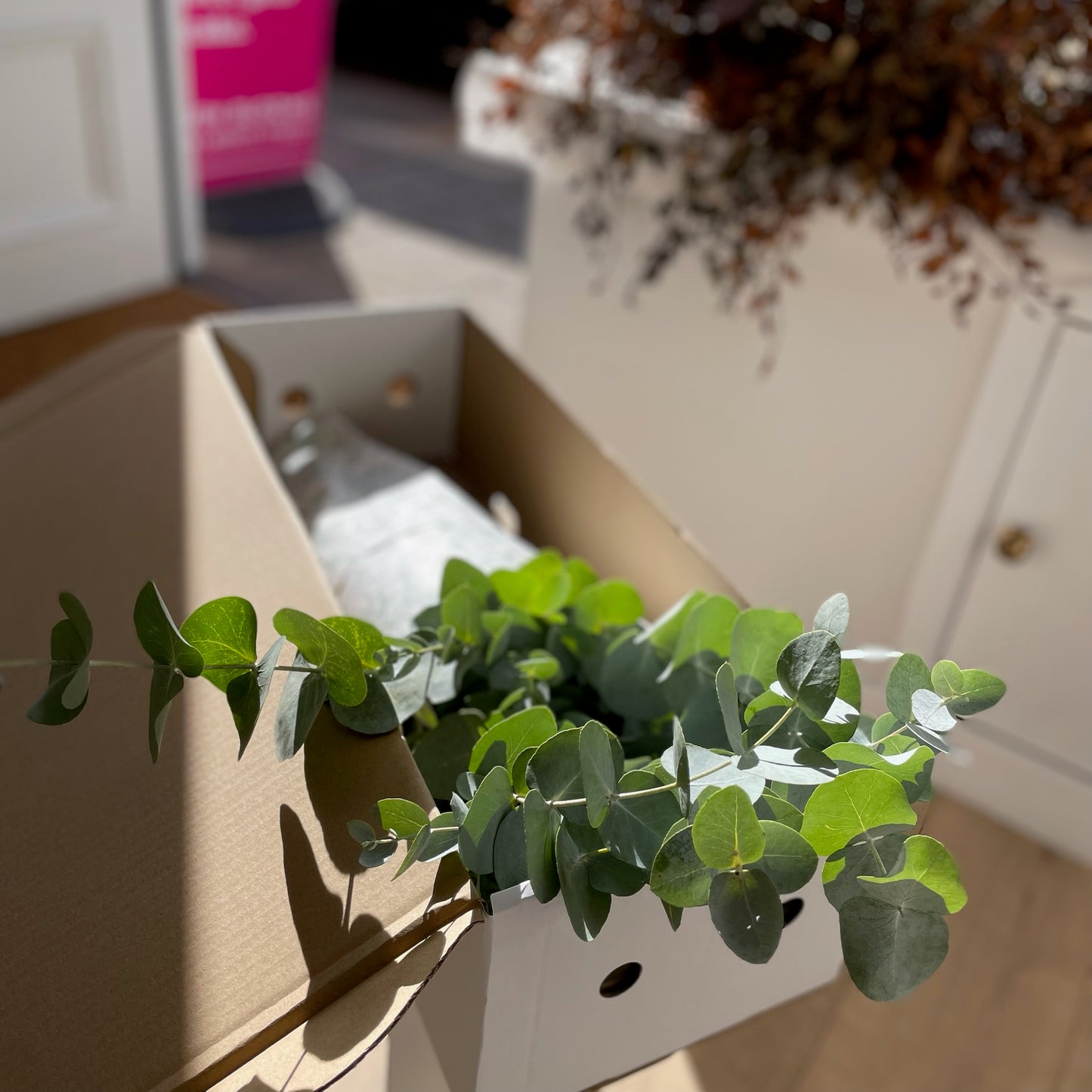 Fresh eucalyptus bunch in postal box